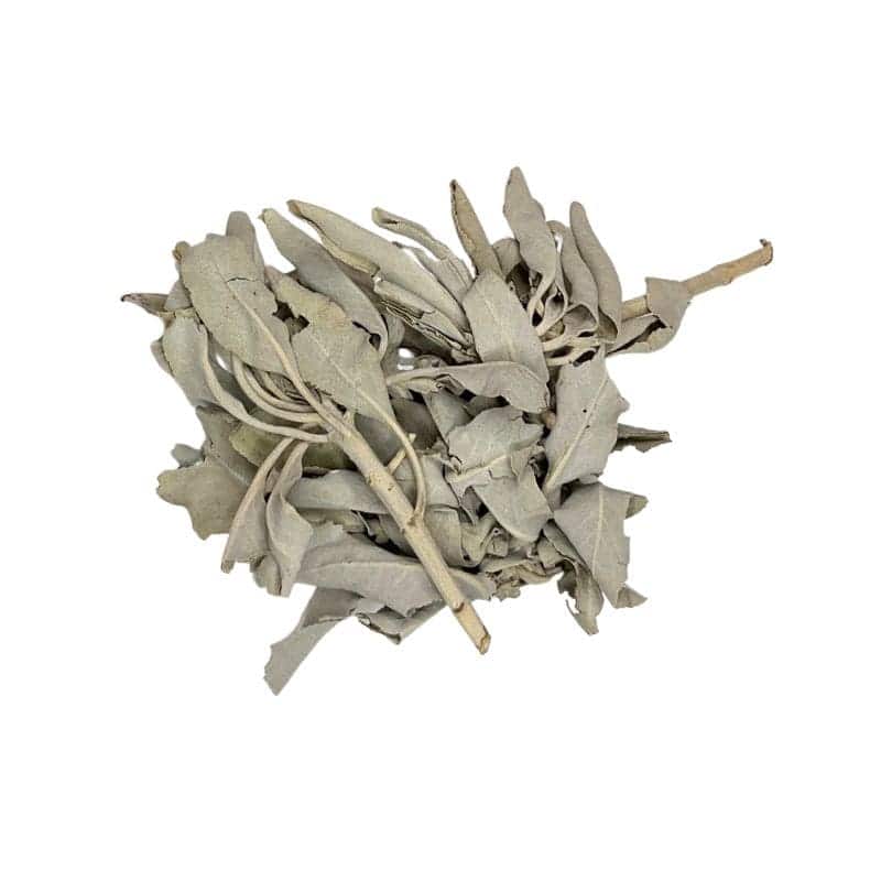 Produktbild Weiße Sage Lose