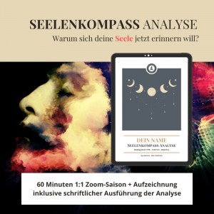 Seelenkompass Analyse